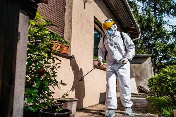 Best Wasp Removal Services  in Mcconnell Af, KS
