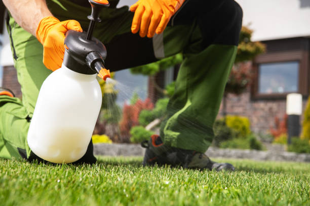 Best Exterminator Services  in Mcconnell Af, KS
