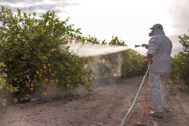 Best Pest Removal Services  in Mcconnell Af, KS