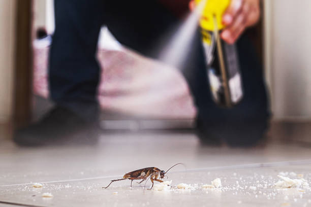 Best Pest Inspection Near Me  in Mcconnell Af, KS