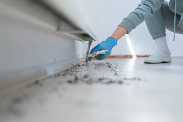 Best Flea Control Services  in Mcconnell Af, KS