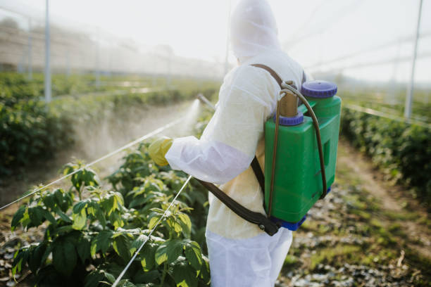 Best Termite Control Services  in Mcconnell Af, KS